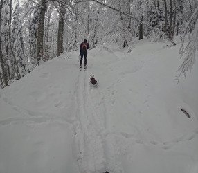 Jeudredi en vallée verte 