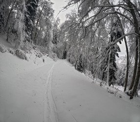 Jeudredi en vallée verte 
