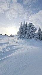 Villard de Lans: Debut de saison prometteur ! 