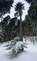 Se perdre là où la neige s’est accumulée…