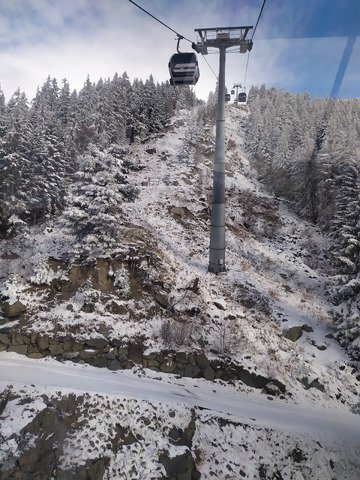 reprise avec les marmots