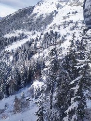 reprise avec les marmots