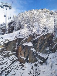 reprise avec les marmots