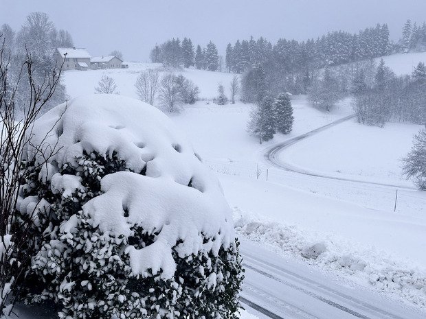 Le point neige dans le Vercors ce matin : de la neige, encore et encore !