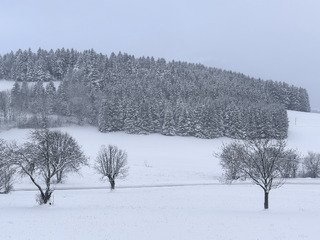 Le point neige dans le Vercors ce matin : de la neige, encore et encore !