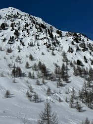Ski de printemps sous le sunlight des tropiques