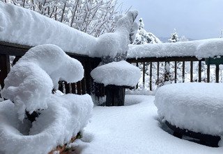 Gros épisode neigeux en Chartreuse, neige bien plus cohésive cette fois-ci !