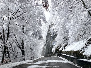 Gros épisode neigeux en Chartreuse, neige bien plus cohésive cette fois-ci !