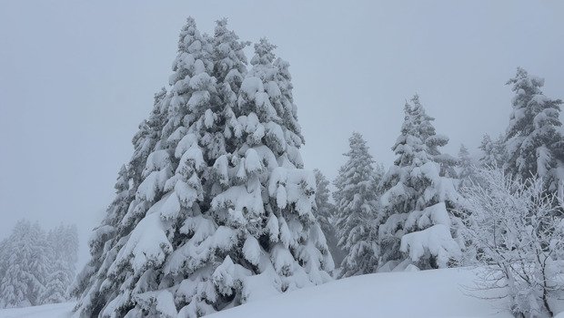 Y’en a mais elle est un peu lourde ☃️