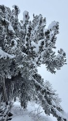 Y’en a mais elle est un peu lourde ☃️