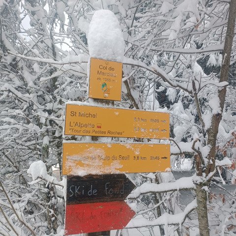 Brassage à Saint Bernard