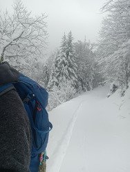 Brassage à Saint Bernard