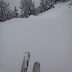 Brassage à Saint Bernard