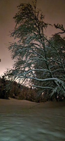 De moins en moins skiable 