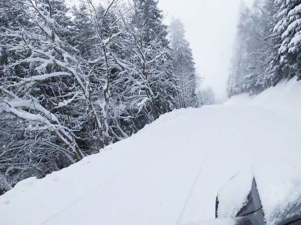 on peut vraiment pas dire qu'il y a trop?