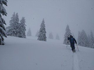 on peut vraiment pas dire qu'il y a trop?