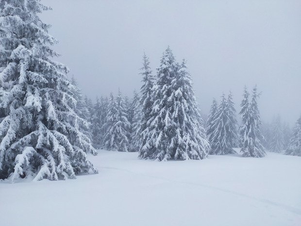 on peut vraiment pas dire qu'il y a trop?