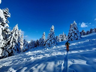 Hold up de basse altitude !