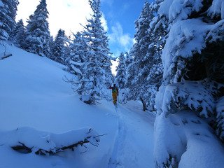 Hold up de basse altitude !