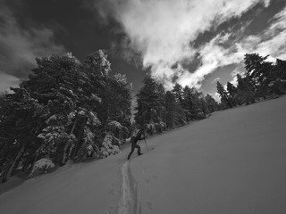 Hold up de basse altitude !