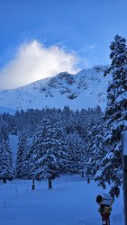 Live ouverture des 7 laux