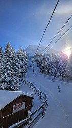 Live ouverture des 7 laux