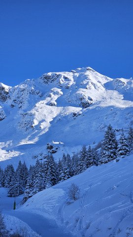 Live ouverture des 7 laux