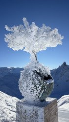 Premier arrivé, premier servi ☃️