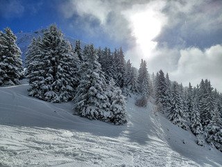 Une ouverture magnifique !