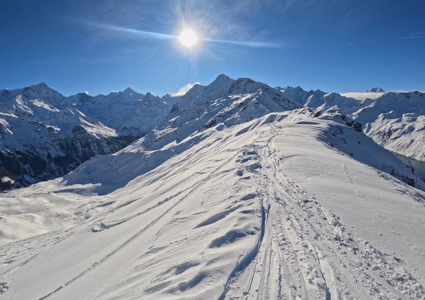 Reprise avec partimonie 