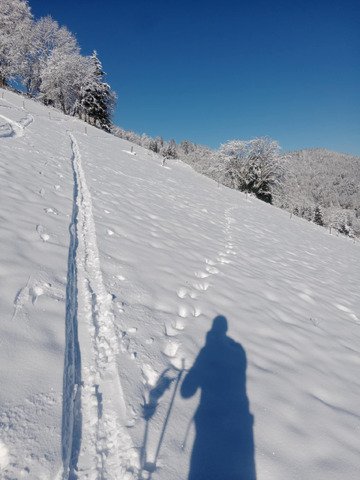 La première dans le 6-8
