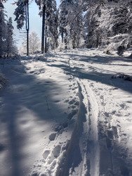 La première dans le 6-8