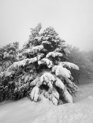 La Scia par la combe de l’Ours