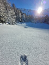Ski du jeudi, ski pourri 