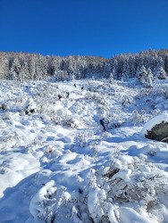 Ski du jeudi, ski pourri 