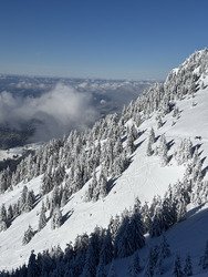 Meilleur jour de la saison? 