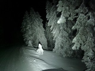 Nocturne d'antologie !