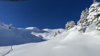 Ar&ecirc;ches peau-fort ↗️