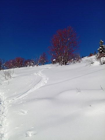 Paysage de carte postale et bon ski !
