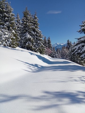 Paysage de carte postale et bon ski !