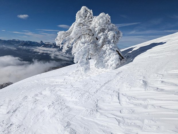 Peyrouse fin Novembre