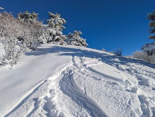 Peyrouse fin Novembre
