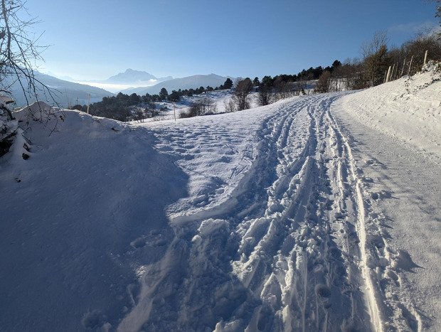 Peyrouse fin Novembre