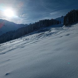 SEPT LAUX J2 NOVEMBRIL