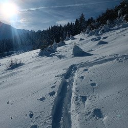 SEPT LAUX J2 NOVEMBRIL