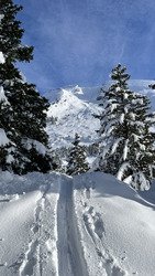 Bienvenue en Aravistan aujourd’hui