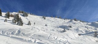 Gavage sur l'A7 🤩