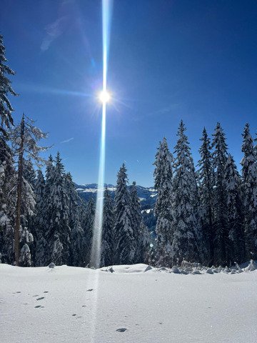 Première rando avec le zéro G 96