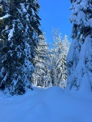 Première rando avec le zéro G 96