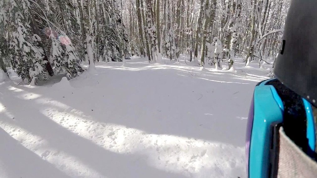 du dream ski en foret 